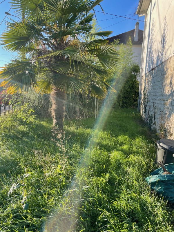 Prestations d’entretien de jardin éligibles au crédit d’impôt de 50 % à Périgueux