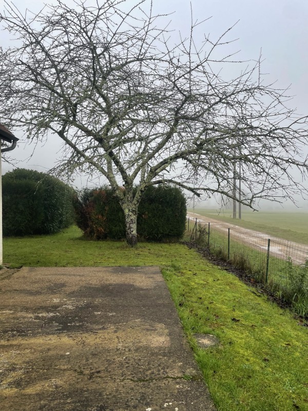 SOS élagage et abattage d'urgence à Sarlat-la-Canéda : Intervention rapide pour sécuriser vos arbres dangereux