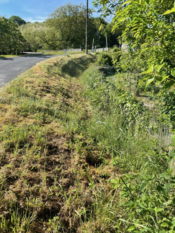Débroussaillage de fossés et zones encombrées pour particuliers au Buisson-de-Cadouin
