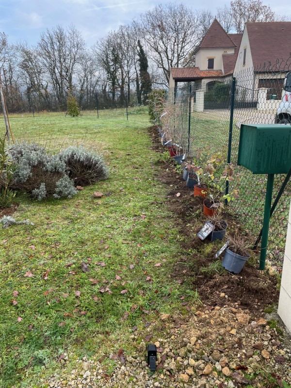 Aménager une haie fruitière au Bugue : optimiser l'espace et la biodiversité de son jardin