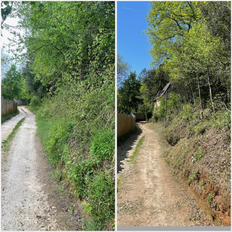 Dégagement d’une ligne électrique