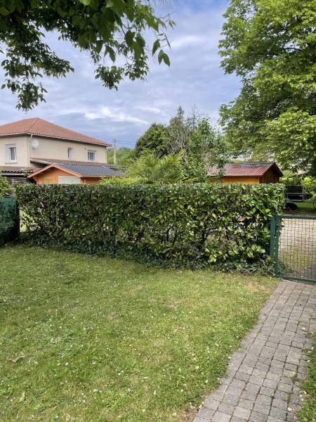 Taille de haie de laurier palme au Bugue en Dordogne