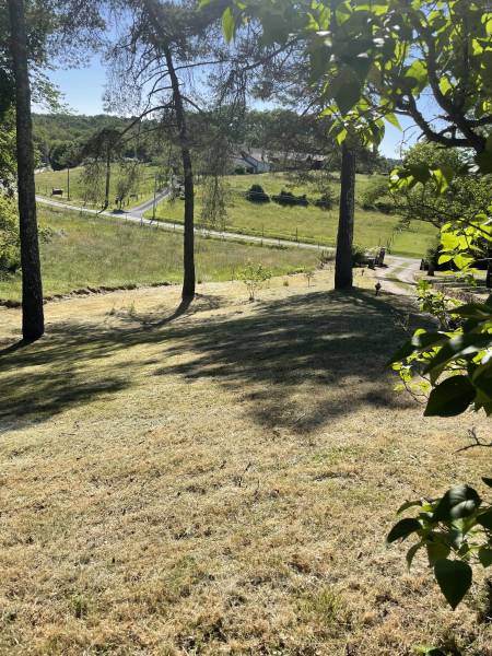 Entretien de jardin ponctuel ou forfait annuel à Saint-Sauveur-de-Bergerac – Bénéficiez du crédit d’impôt en Dordogne