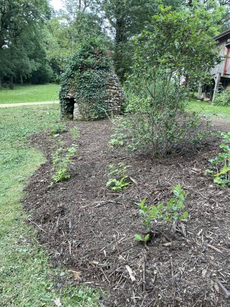 Aménagement de jardin comestible à Périgueux 