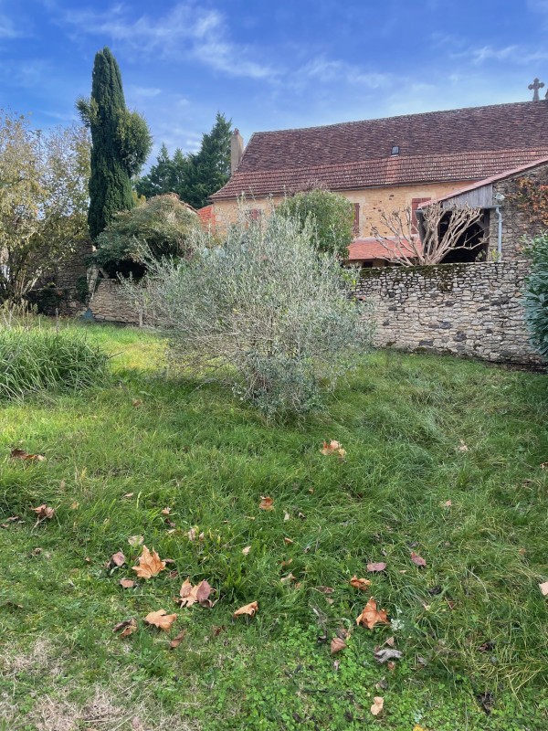 Taille architecturée d’arbres d’ornement à Sarlat pour une mise en valeur esthétique du jardin