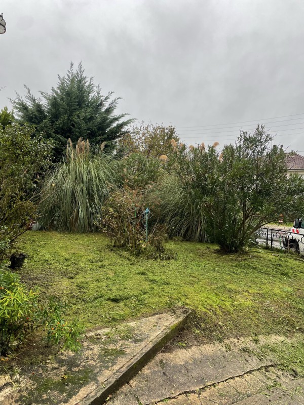 Tonte, taille et élagage en Dordogne : Profitez d'un service de jardinage professionnel à -50% pour les particuliers