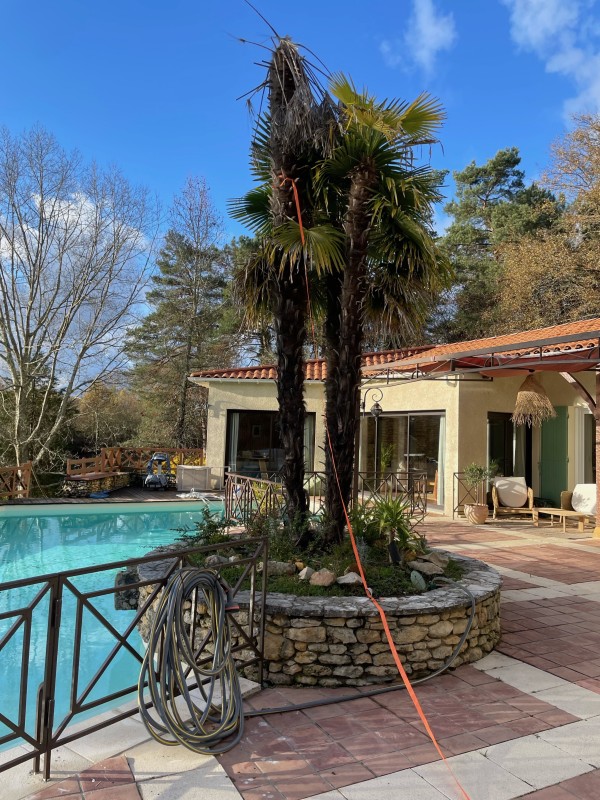 SOS élagage à Saint-Sauveur-de-Bergerac : Intervention d'urgence pour l'abattage sécurisé d'arbres dangereux et diagnostic de chute