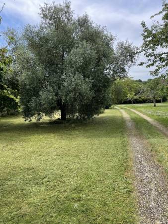 Notre zone d'activité pour ce service Idée d’aménagement de jardin pas cher