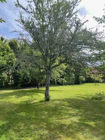 Nos prestations sur le secteur de à Périgueux, Dordogne